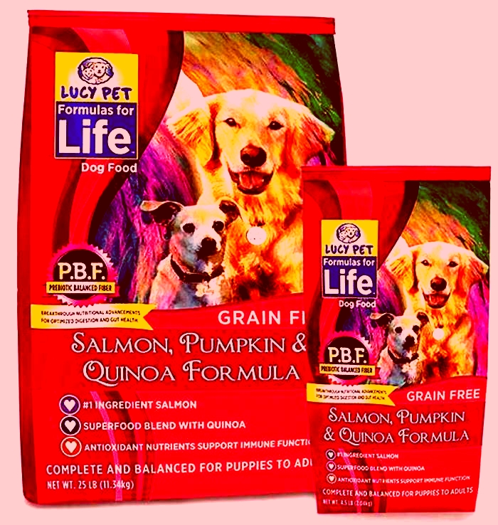 salmon and quinoa dog food