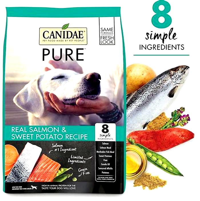 salmon based dog food for allergies