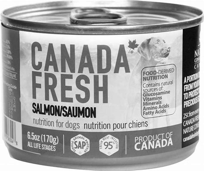 salmon dog food canned