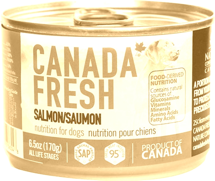 salmon dog food fresh