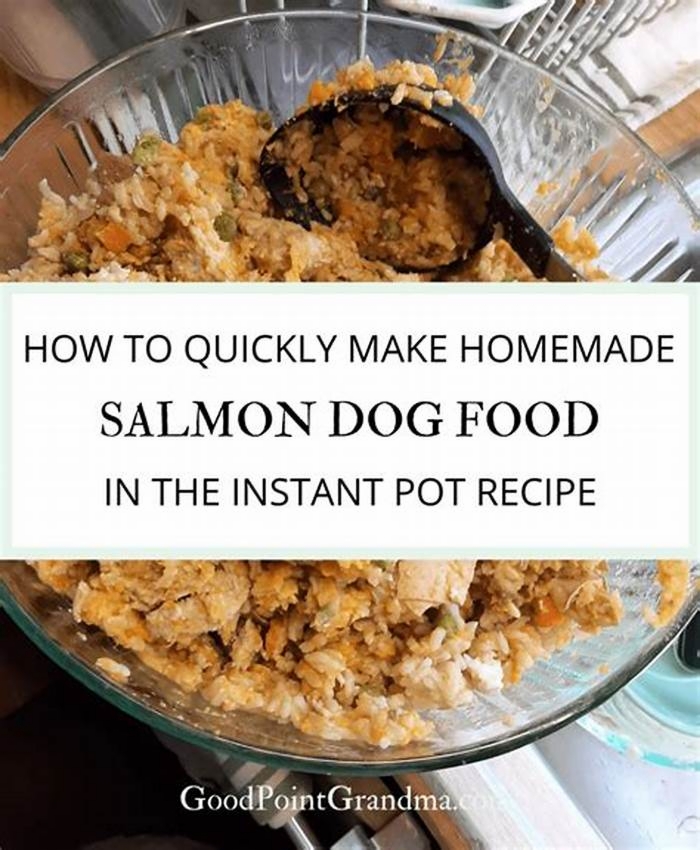 salmon dog food homemade