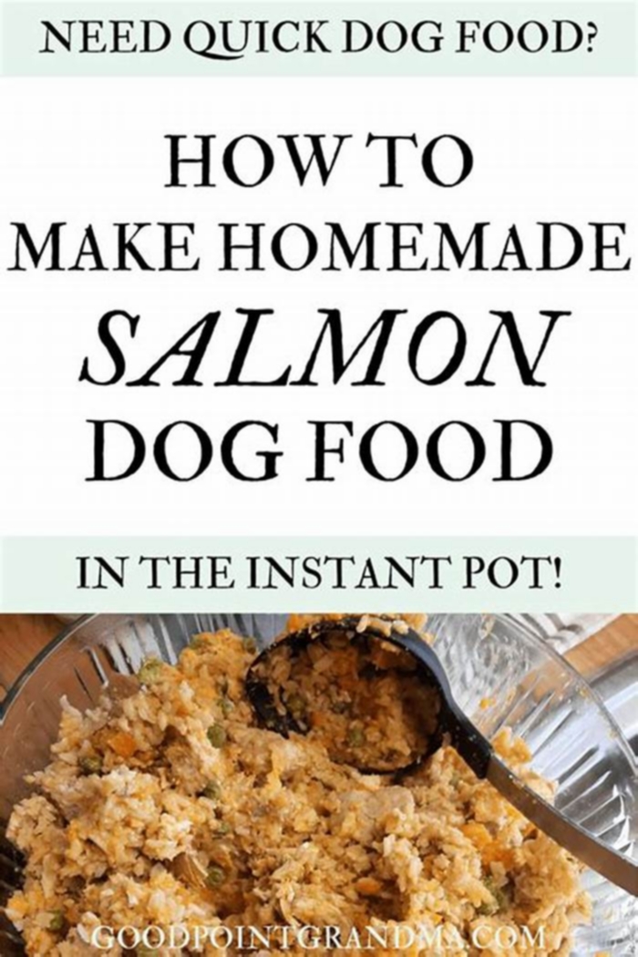 salmon dog food recipe