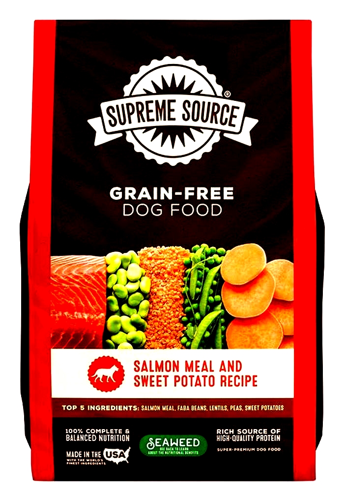 salmon dog food