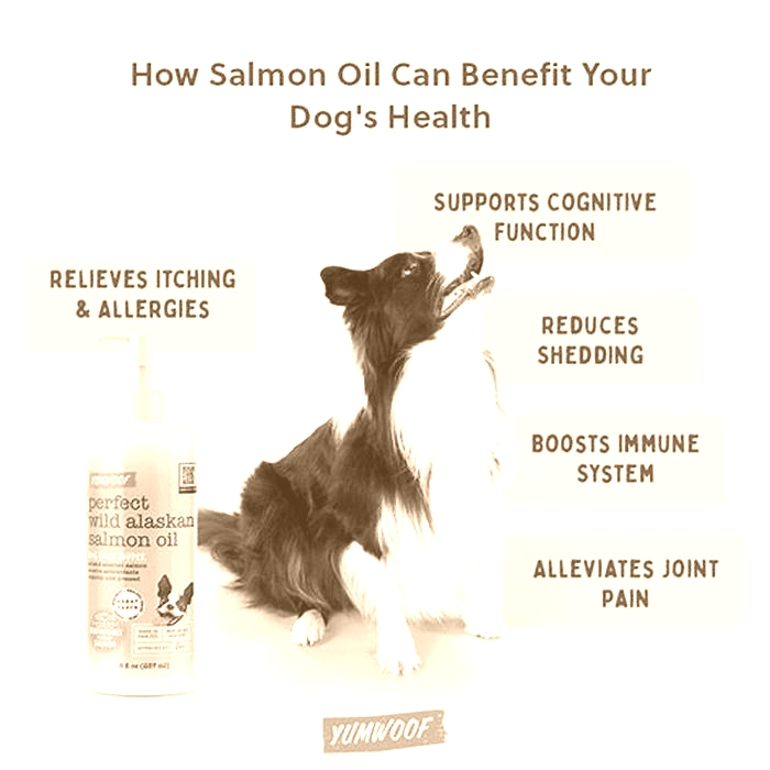 salmon oil dog food topper