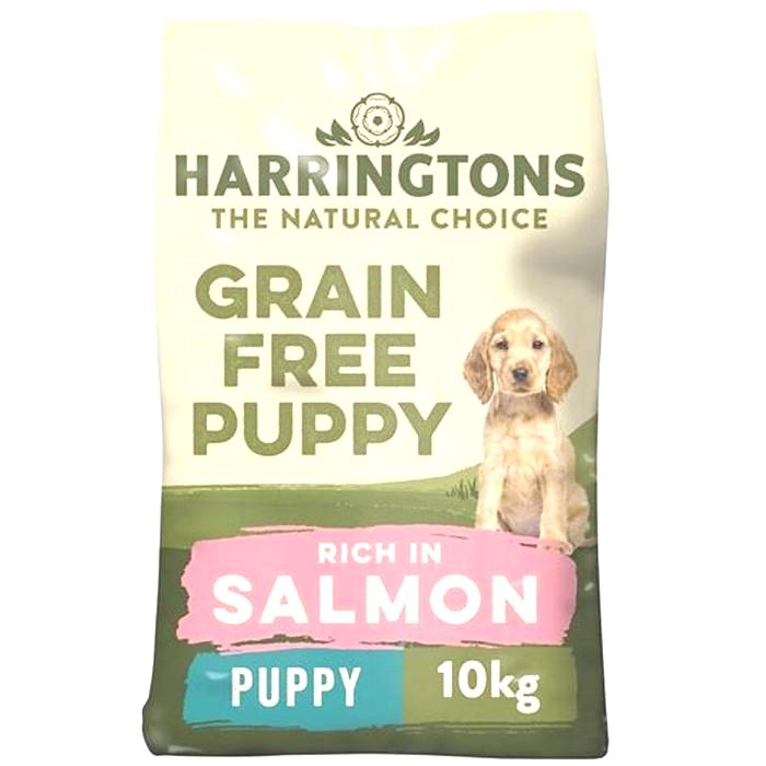 salmon puppy food grain free