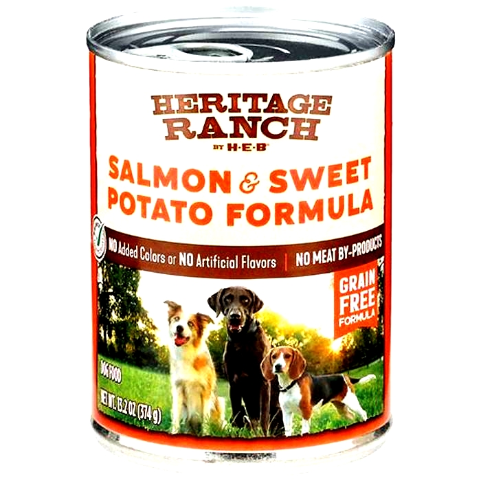 salmon wet dog food uk