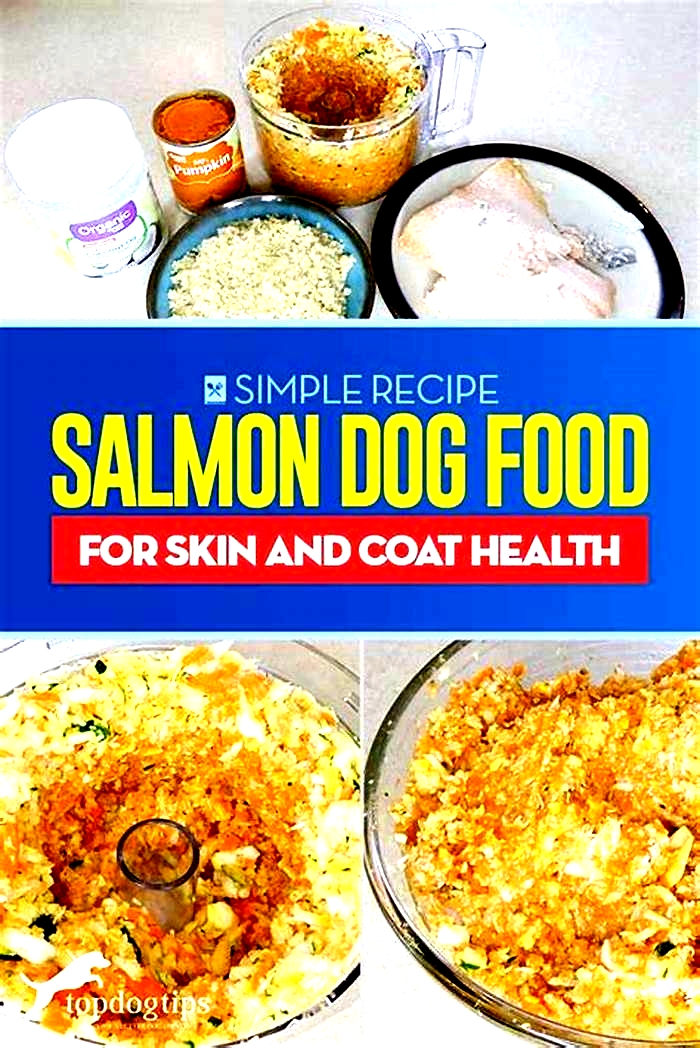 Supporting Your Dog s Dietary Needs with Salmon Enriched Recipes