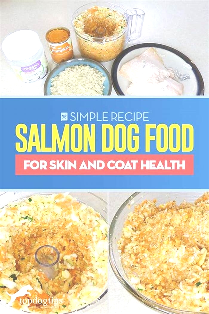 Supporting Your Dog's Dietary Needs with Salmon-Rich Recipes