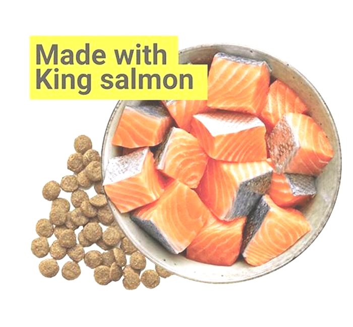 The Benefits of Omega-3-Rich Dog Food: Salmon Options