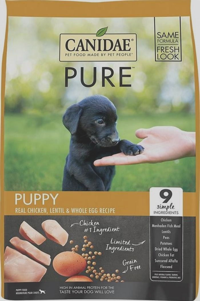 top best dog food for puppies