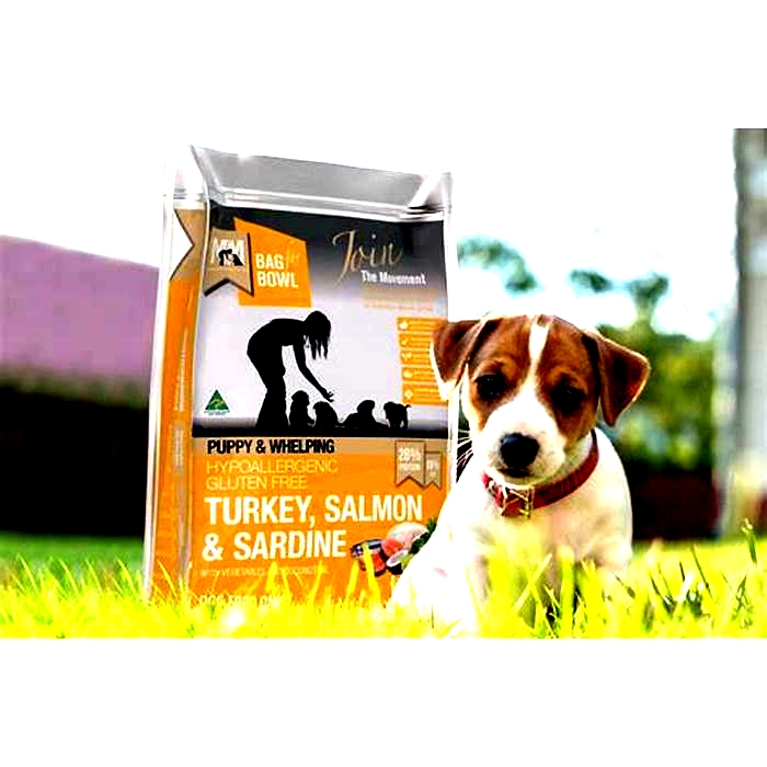 turkey vs salmon dog food