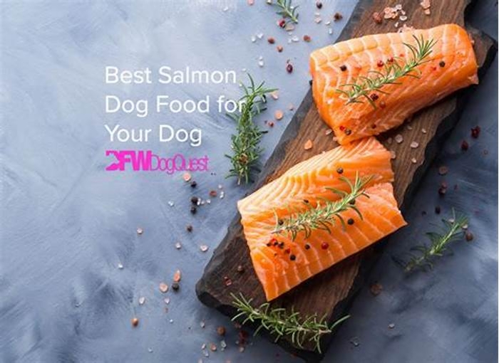 Understanding the Importance of Salmon in Your Dog s Diet Plan