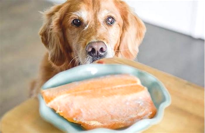 Unlocking the Potential of Salmon for Your Dog's Well-Being