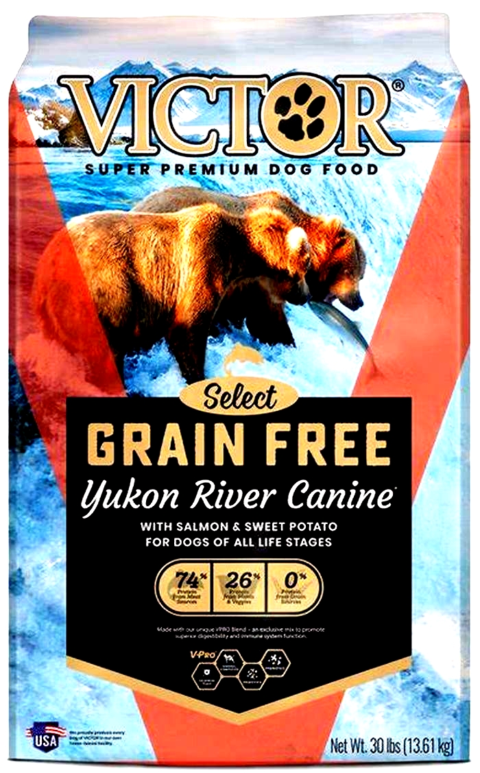 victor yukon river salmon & sweet potato dog food