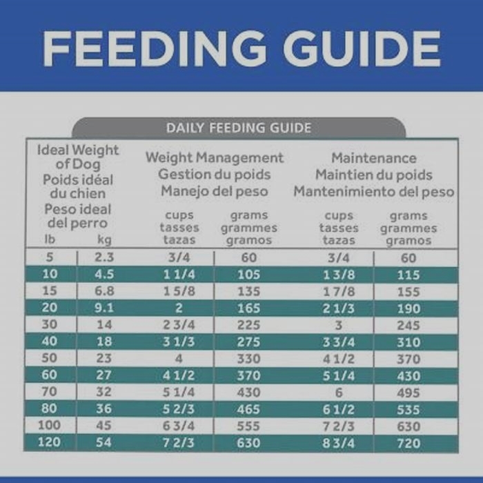 w/d dry dog food feeding guide