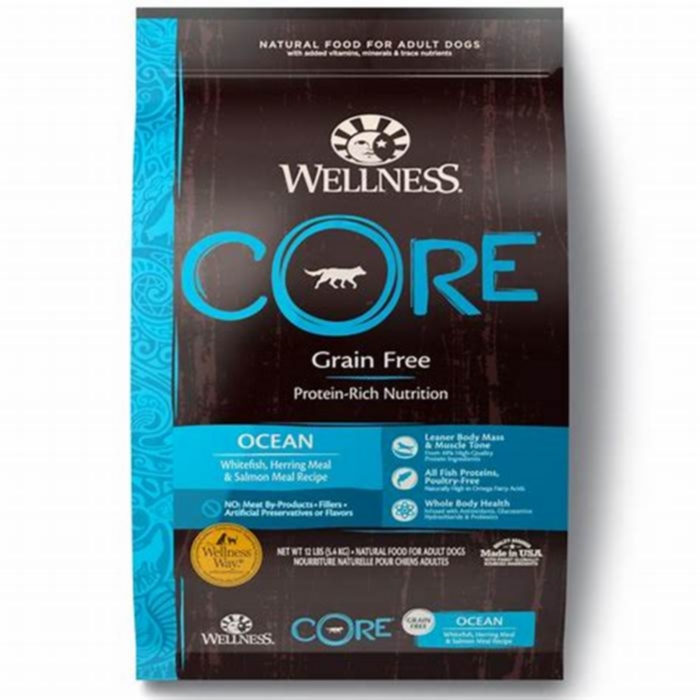 wellness core salmon dog food