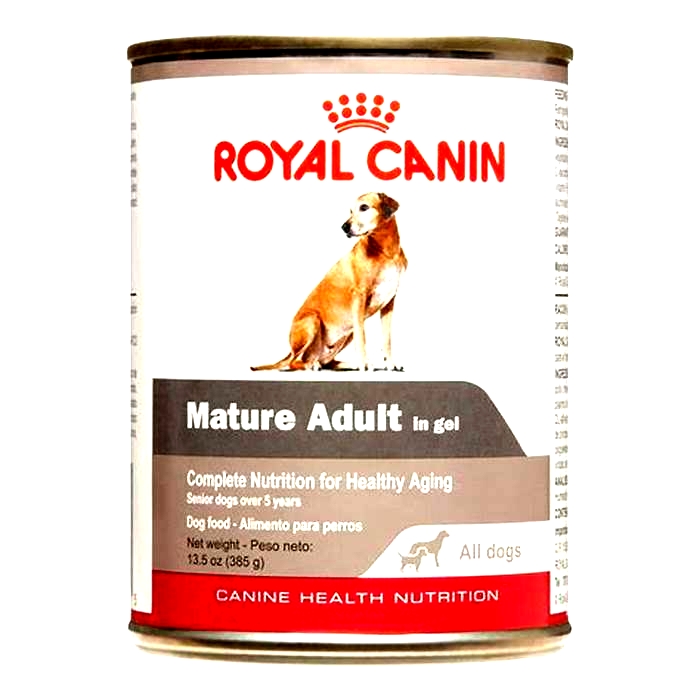 wet dog food for elderly dogs