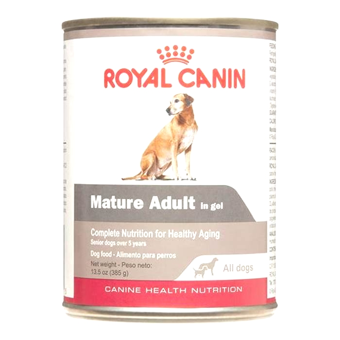 wet dog food for older dogs