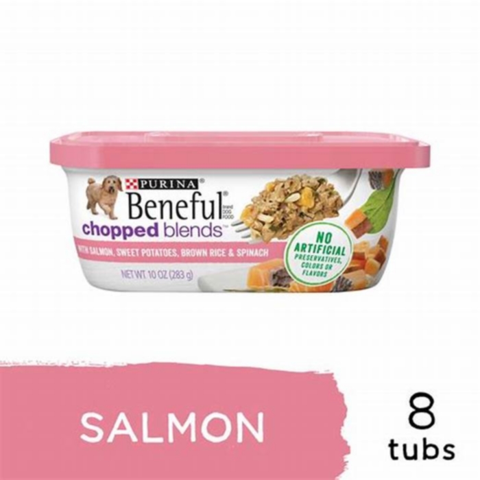 wet salmon dog food