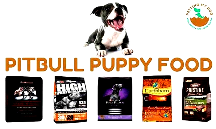 what is the best dog food for pitbull puppies