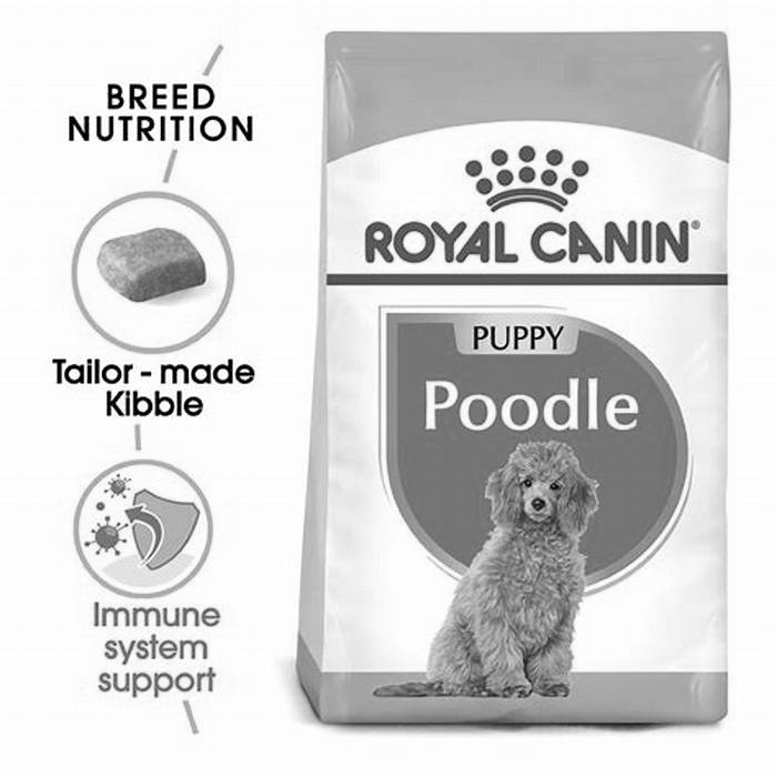 what is the best dog food for poodle puppies