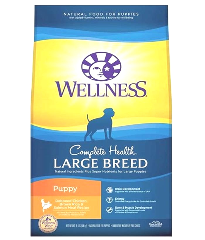 what is the best dog food for puppies large breed