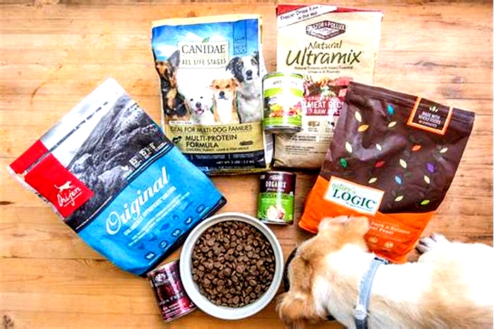 what is the best dog food for puppies