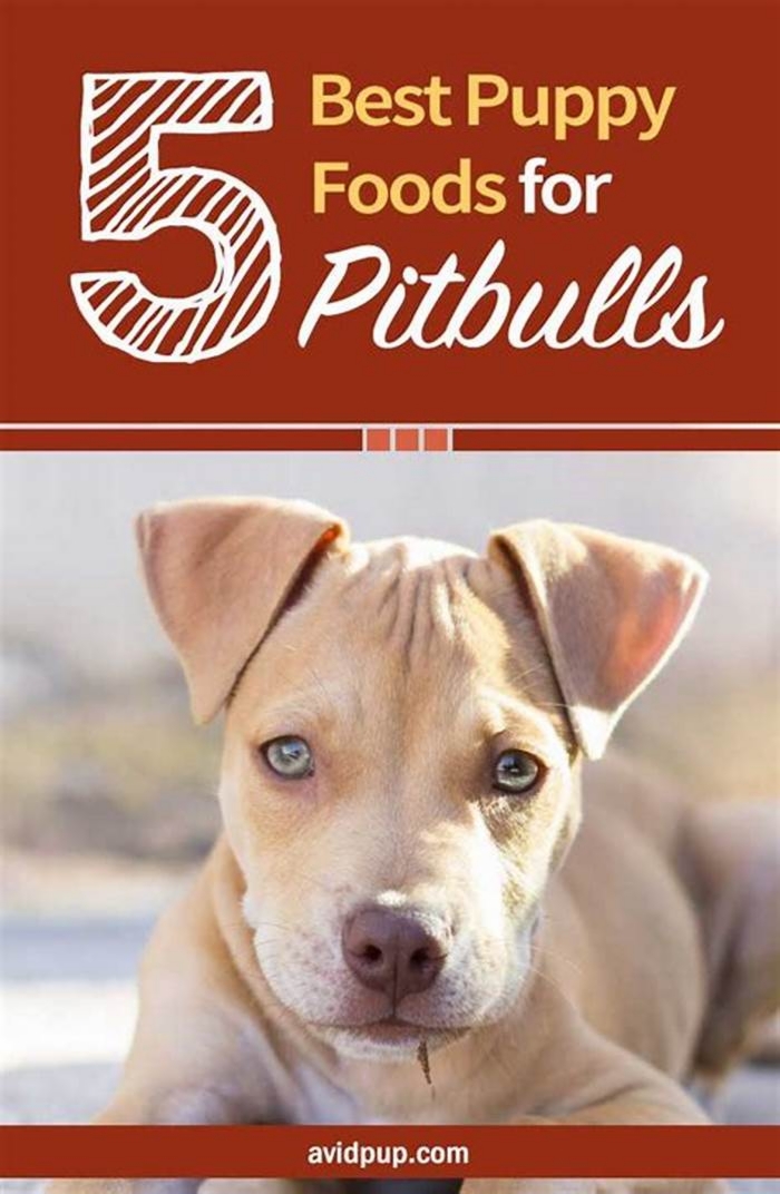 what kind of dog food is best for pitbull puppies