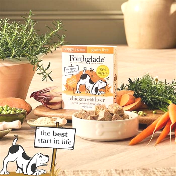 Why Forthglade Wet Food Should Be a Staple in Your Dog's Diet