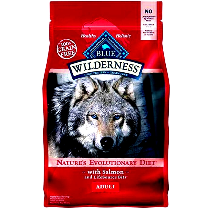 wilderness salmon dog food