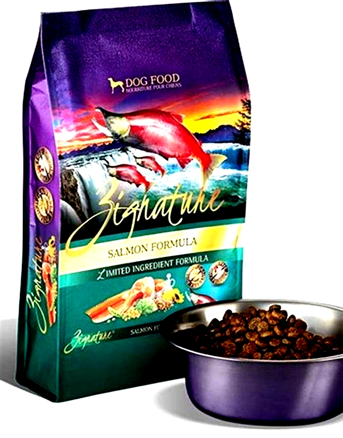 zignature salmon dog food